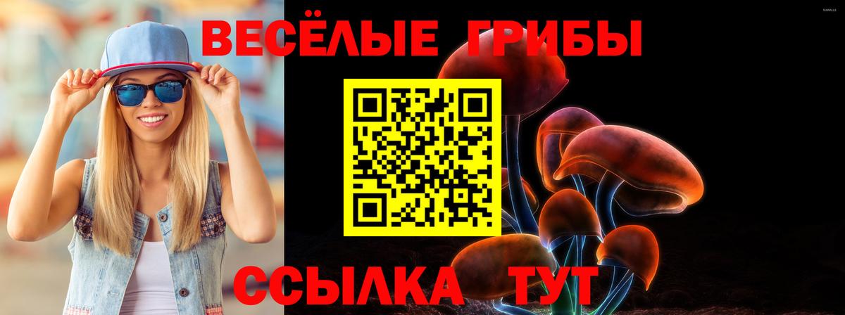 Галлюциногенные грибы Cubensis  Вход с VPN  Унеча 
