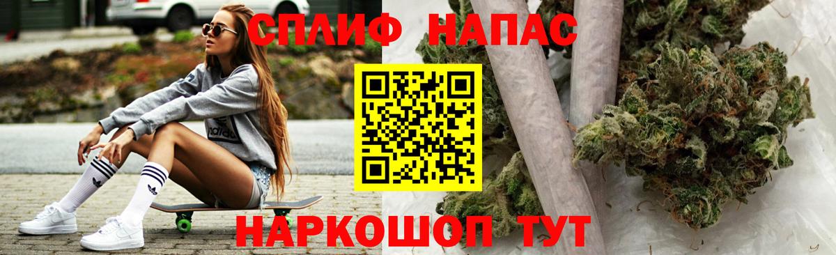 Марихуана план  Вход с VPN  Каннабис индика  Унеча  Каннабис Amnesia  Конопля гибрид 